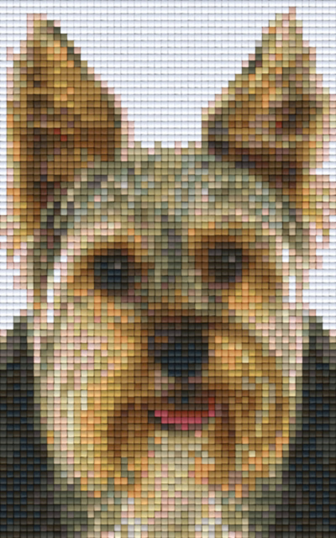 Terrier Two [2] Baseplate PixelHobby Mini-mosaic Art Kit image 0